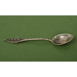 Silver spoon