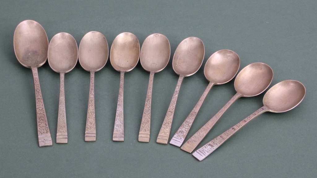Metal spoons (9 pcs)