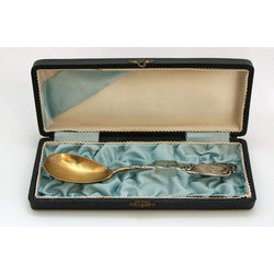 Silver spoon in the box 