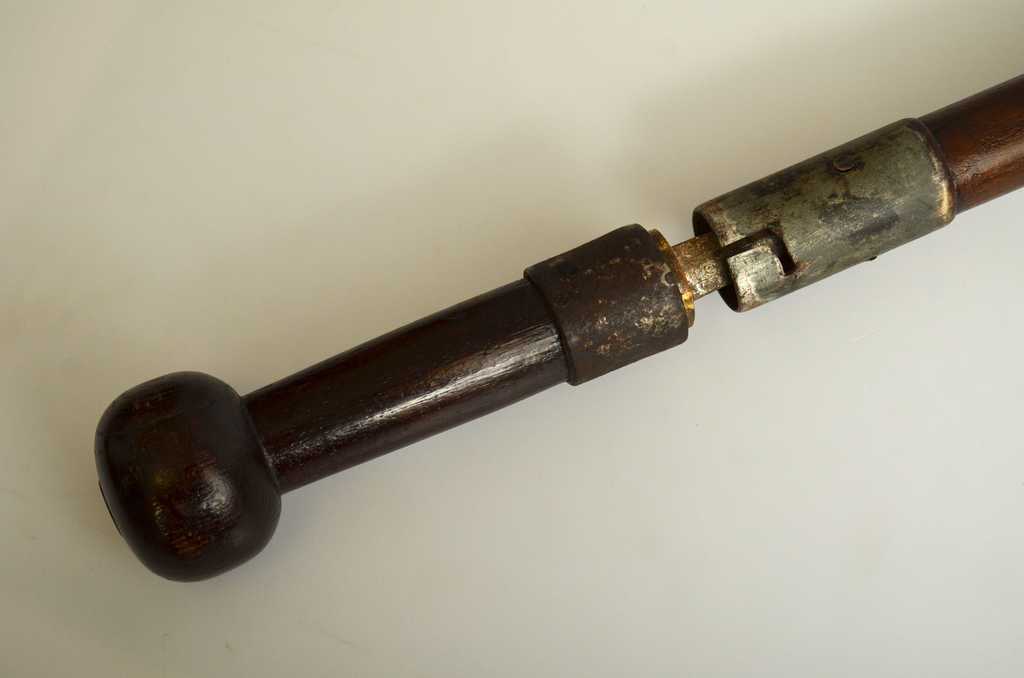 A cane with an embedded blade
