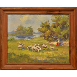 Sheep pasture
