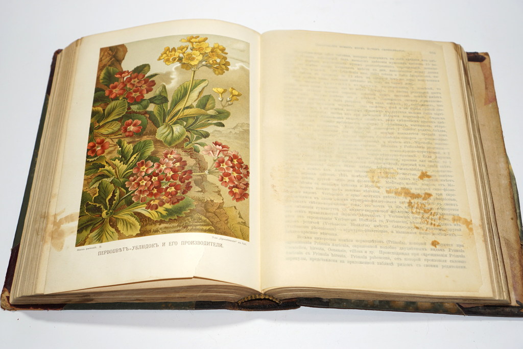 Жизнь растений, A.Kerner von Marilaun (second volume)