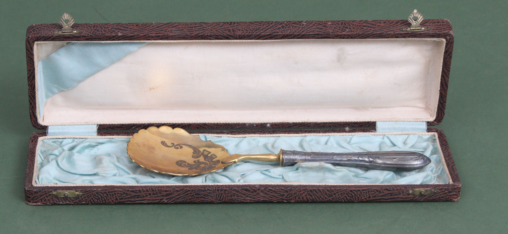 Spoon with silver handle in original box