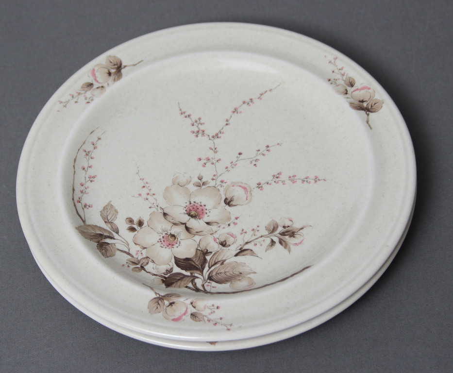 Painted porcelain plates (2 pcs.)