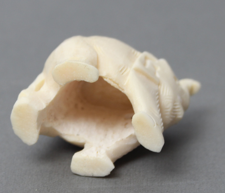 An elephant from a bone