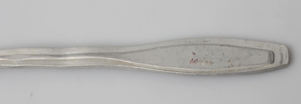 German SS division soldiers spoon