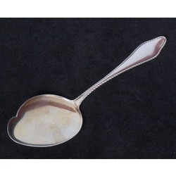 Silver serving spoon