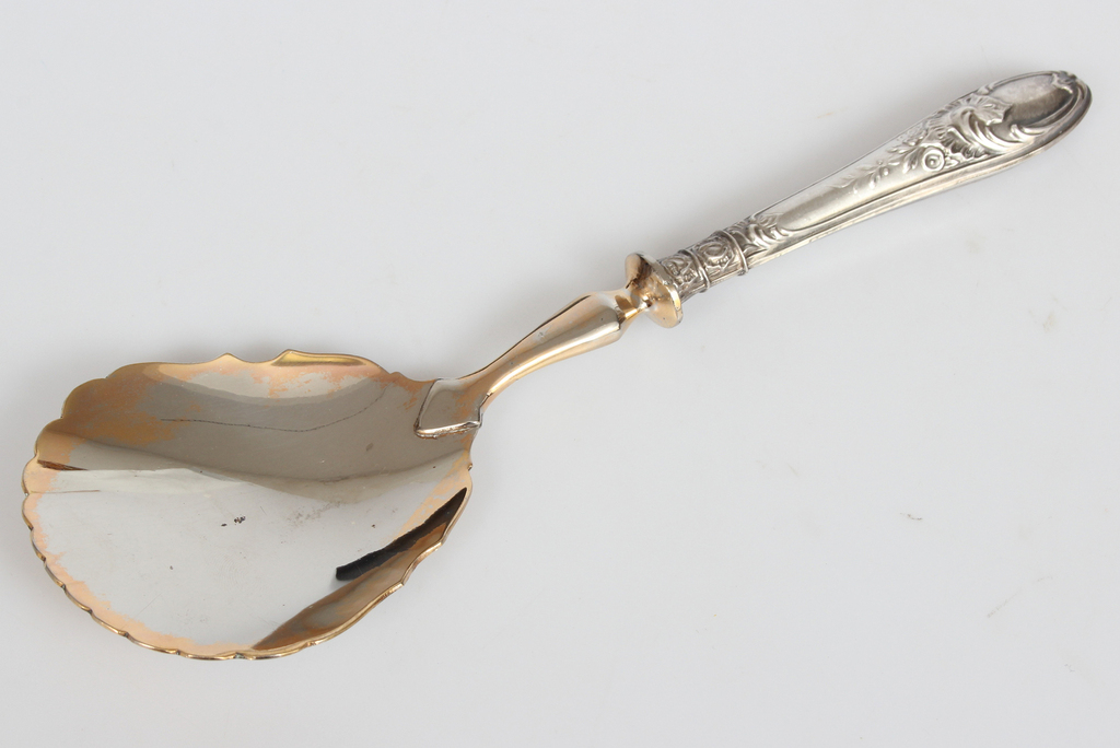 Serving spoon with silver handle