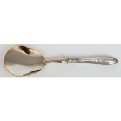 Serving spoon with silver handle