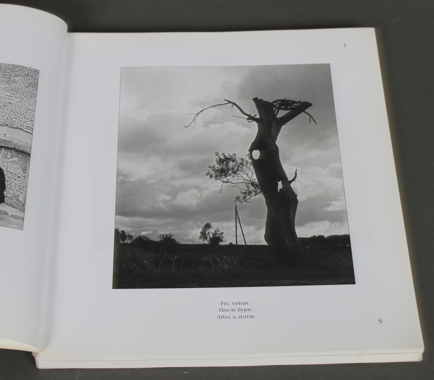 Grāmatu komplekts ''Fotogrāfijas'', ''Zelta sonāte'', A.Naumova gleznu katalogi (2 gab)