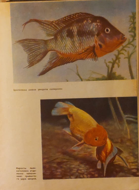 3 books for lovers of aquariums and fish. 1965, 1967, 1979