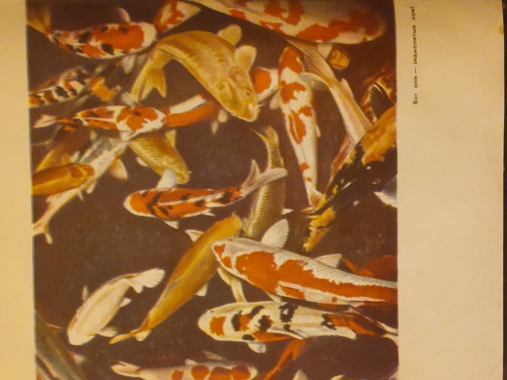 3 книги для любителей аквариумов и рыбок. 1965, 1967, 1979 гг.