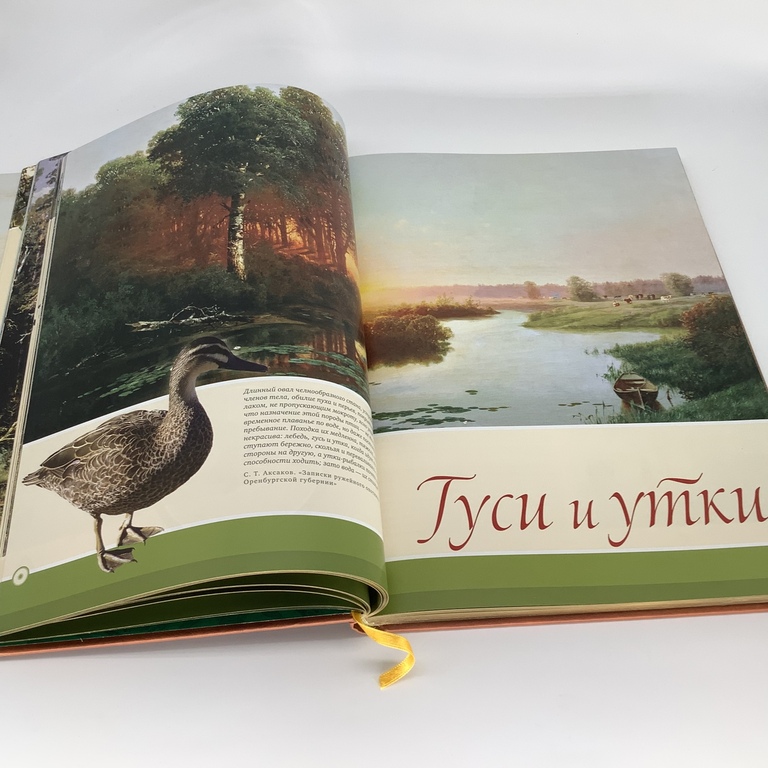 A wonderful publication by Sabaneev about Russian hunting. Limited edition, gold edge. Expensive and colorful edition for hunting connoisseurs.