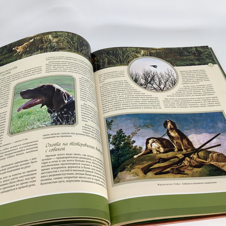 Brīnišķīga Sabanejeva publikācija par krievu medībām.Limitēts izdevums,zelta maliņa.Dārgs un krāsains izdevums medību cienītājiem.
