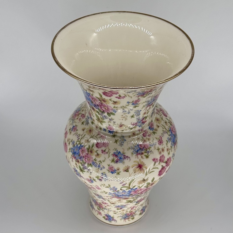 Large Thomas vase. Ivory porcelain. Hand painted. 40 years old