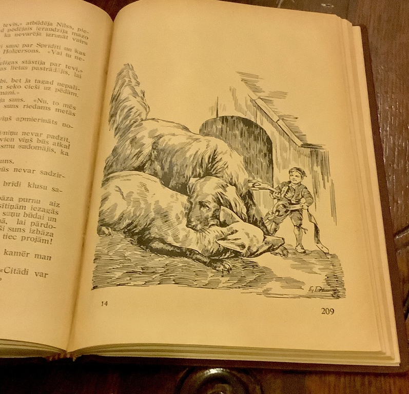 1935 год.Первый перевод на латышский язык сказки «Нильс Холгерсон,путешествие с дикими гусями»