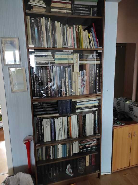 Book collection (160 pcs) + 2 bookcases