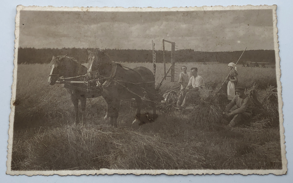 Photograph of earthworks