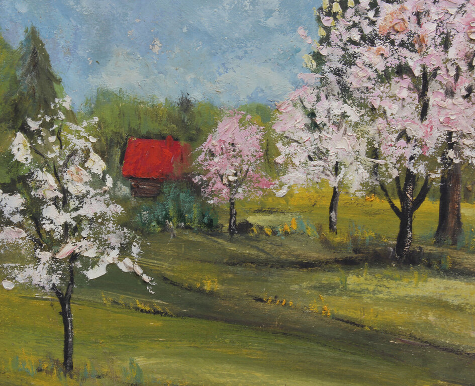 Blossoming apple trees