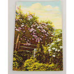 Postcard Lilacs by the fence