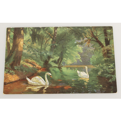 Postcard Swans