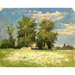 Landscape with a blooming meadow