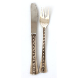 Silver fork and knife