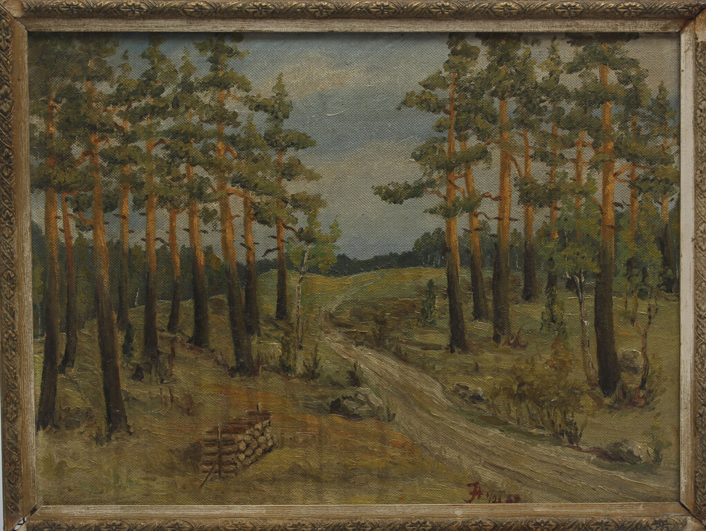 Forest landscape with path