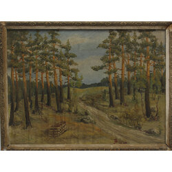 Forest landscape with path