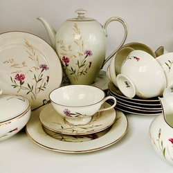 Tea set Hunterreuther. Fine porcelain and hand painting. Wild flowers. Old mark. Beginning of the last century.