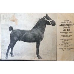 State breeding stallion 